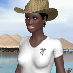 for 3D virtual sex game, join and contact homosexual hot shemale DomTFem, America, 