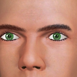 see heterosexual narcissist boy Dubtemp, USA,  while playing porn game online