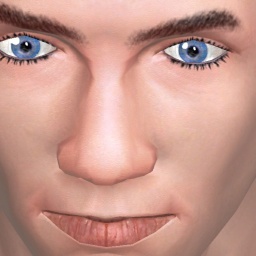 play virtual sex games with mate heterosexual bugger boy Chogener, us, 