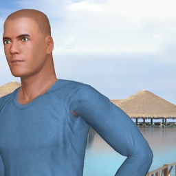 multiplayer virtual sex game player heterosexual sex maniac boy SANJI, 