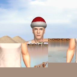 multiplayer virtual sex game player heterosexual sensitive boy Reqwizz, USA, im 16