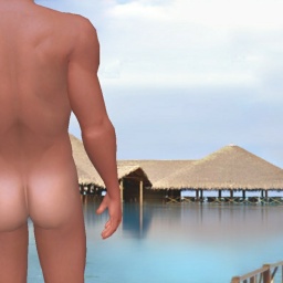 adults enjoying 3D sex games like heterosexual erotomanic boy Robs, US, Dick, 
