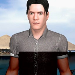 3Dsex game playing AChat community member heterosexual nymphomaniac boy MSR_7504, 