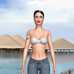 hot heterosexual sensitive shemale Pussydick4, USA,  enjoys online 3Dsex