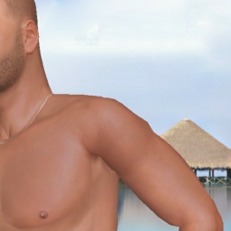 multiplayer virtual sex game player heterosexual pervert boy Freemen1, 