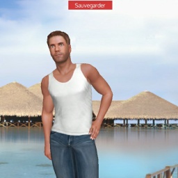 sexgame online MMO playing with adult member heterosexual fiend boy Personnevx, Francce, 