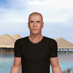 partner heterosexual sentimental boy Routier, Nihil sine nefas, the phase in my info just means no one is perfect basically. for adult online game playing