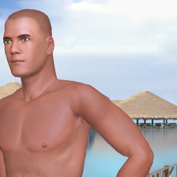 adults enjoying 3D sex games like heterosexual sentimental boy Aarong843, usa, 