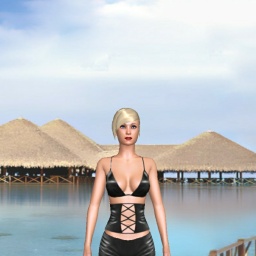 partner heterosexual erotomanic shemale Ladydiana,   for adult online game playing