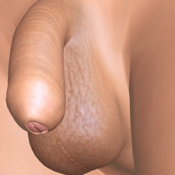 sexgame online for adults like  bugger shemale Leogett, Im top, love rp, 