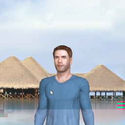 multiplayer virtual sex game player bisexual sensitive boy Nicolian, 