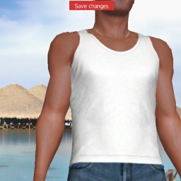 adults like heterosexual pervert boy Chains1234c,  play AChat online sex games