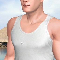 hot heterosexual lovesick boy Disi123,  enjoys online 3Dsex