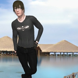 3Dsex game playing AChat community member heterosexual eroticism boy JizuFlames, 