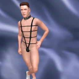for 3D virtual sex game, join and contact bisexual erotomanic boy Nikisl, Slave, obidient slave