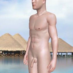 multiplayer virtual sex game player heterosexual brute boy Refuseado, 