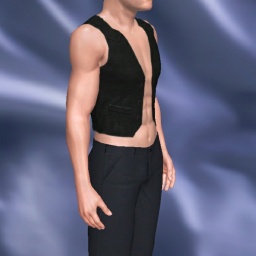 adults like heterosexual amatory boy Aeonii,  play AChat online sex games