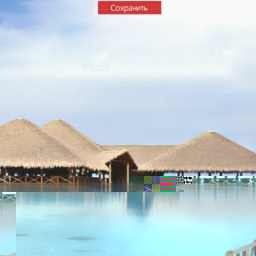 partner  hot shemale Lady_Opiate,  for adult online game playing