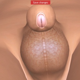 adults enjoying 3D sex games like bisexual smarting shemale HornySissy7, usa, Like suck dicks, 