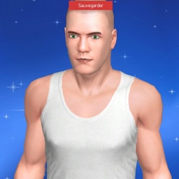 3D sex game community member heterosexual hot boy Tougau, france, France, 
