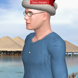 multiplayer virtual sex game player heterosexual sodomist boy Shibainu, USA, 