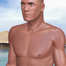 see heterosexual sodomist boy Smitty86, USA, just a simple fella.... while playing porn game online