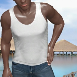 connect and play virtual 3D sex with heterosexual hot boy Tolhs, 