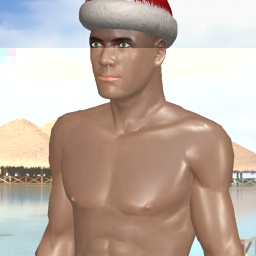 multiplayer virtual sex game player heterosexual sex maniac boy TheOnly, Owner of BBC, Not much, 