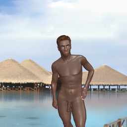 see heterosexual sodomist boy Dickygerald,  while playing porn game online