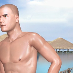 3Dsex game playing AChat community member heterosexual bugger boy Price, 