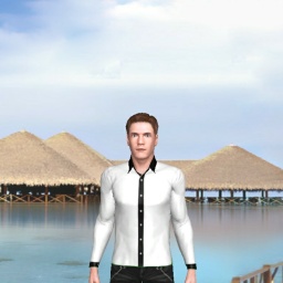 3D sex game community member heterosexual erotomanic boy Deep, UK, 