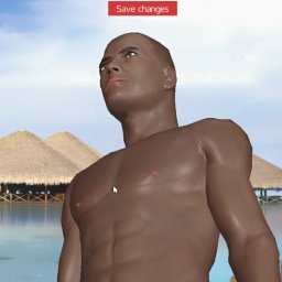 3Dsex game playing AChat community member heterosexual sentimental boy Boro123, 