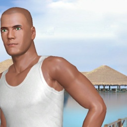 3Dsex game playing AChat community member heterosexual wordy boy AKCD05, 