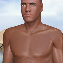 for 3D virtual sex game, join and contact heterosexual bugger boy Rounds, cali, 