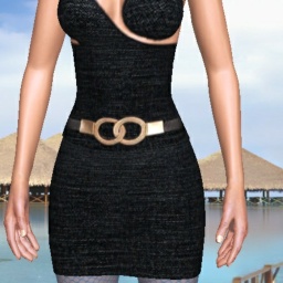 best sim sex game online with  hot shemale Nikki_bella, 