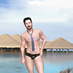 adults enjoying 3D sex games like heterosexual fiend boy Hokkezo, Brazil, Lets have some pleasure together, 