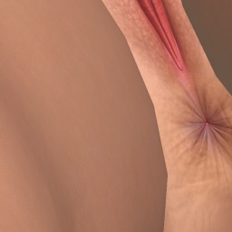 play online virtual sex game with member bisexual brute girl MikeHoncho, iraq, Me horny girl, 