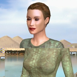 virtual sex and dating with people like heterosexual hot girl TinaTaco, 