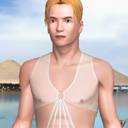 sexgame online for adults like homosexual erotomanic boy Steward, 