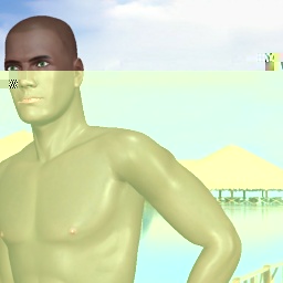 see heterosexual pervert boy Gunnerman119,  while playing porn game online