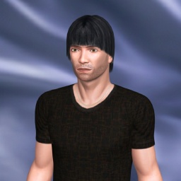 multiplayer virtual sex game player heterosexual sodomist boy Vivid, US, Chris, 