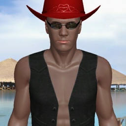 Members 1 Online sex games player HomoCowboy in 3D Sex World