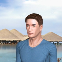 3Dsex game playing AChat community member heterosexual emotional boy NewclearCat, 