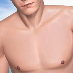 for 3D virtual sex game, join and contact heterosexual eroticism boy TommyLHomme, Spain, 