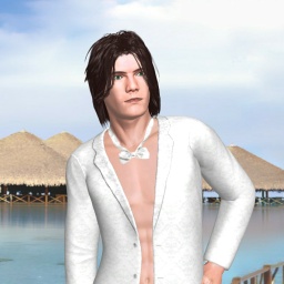 see heterosexual sodomist boy Justmeuknow,  while playing porn game online