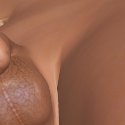 multiplayer virtual sex game player heterosexual lush shemale F90iv333, c, lessgoo