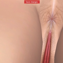 play online virtual sex game with member bisexual sex maniac girl Sanguchin, australia, Horny, i love woman