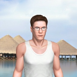 see heterosexual passionate boy Ritorukai256, mexico,  while playing porn game online