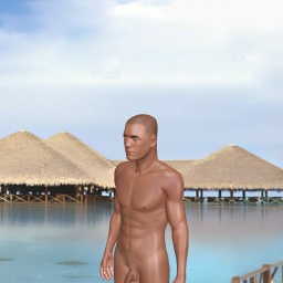 3Dsex game playing AChat community member heterosexual erotomanic boy SHANBENBOSI, 