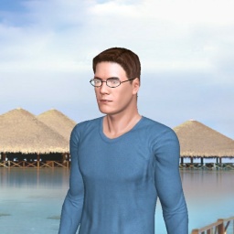 3D sex game community member heterosexual bugger boy LogBoi, Australia, 